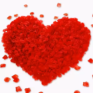 Изкуствени червени розови листенца – 500 броя за романтичен декор, сватба и Свети Валентин